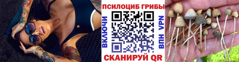Псилоцибиновые грибы мухоморы Собинка